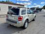 2012 GOLD FORD ESCAPE XLT (1FMCU0DG7CK) with an 3.0L engine, Automatic transmission, located at 1708 Broadway, Rockford, IL, 61104, (815) 397-5010, 42.252522, -89.069359 - Photo#6