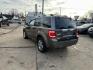 2010 GRAY FORD ESCAPE LIMITED (1FMCU0EG3AK) with an 3.0L engine, Automatic transmission, located at 1708 Broadway, Rockford, IL, 61104, (815) 397-5010, 42.252522, -89.069359 - Photo#6