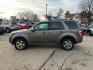 2010 GRAY FORD ESCAPE LIMITED (1FMCU0EG3AK) with an 3.0L engine, Automatic transmission, located at 1708 Broadway, Rockford, IL, 61104, (815) 397-5010, 42.252522, -89.069359 - Photo#7